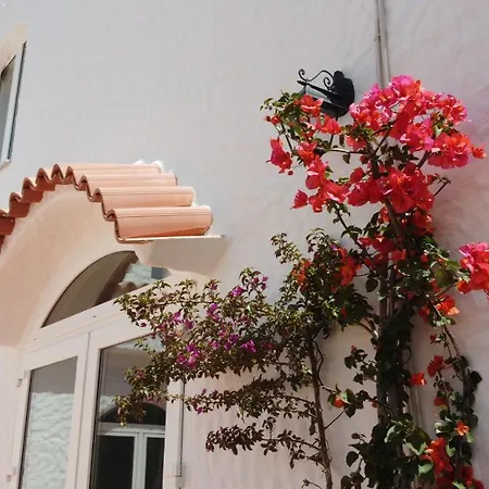 Hotel Cedrino 3*