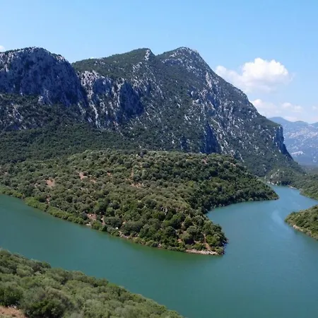Cedrino