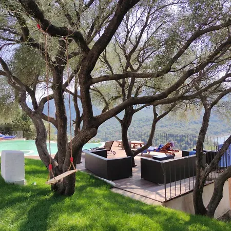 Cedrino Доргали