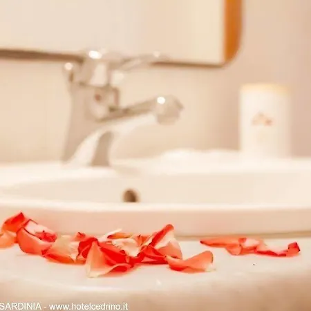 Hotel Cedrino