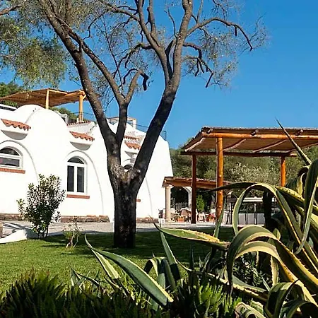 Cedrino 3*