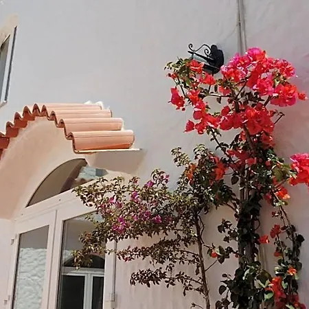 Ξενοδοχείο Cedrino